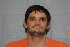 Mugshot of Andrews, Jamie Lee