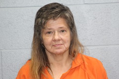 Mugshot of Branson, Elizabeth Ann